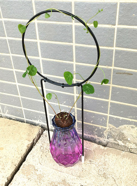 水培山乌龟绿植桌面花架龟甲龙爬藤架绿萝攀爬架子小矮花盆花架子