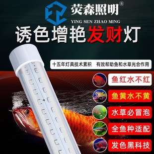 红龙发色增艳LED防水鱼缸灯三基色全光谱鹦鹉锦鲤水草水族箱爆藻