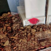 定制溢流挡板透明防吸鱼压克力挡沙板鱼缸溢流区溢流板鱼梳挡泥沙