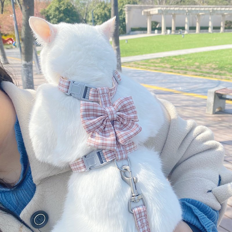 绅士风蝴蝶结猫咪牵引绳防挣脱可调节幼猫牵猫绳专用小猫栓猫绳子