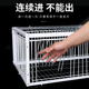 天落笼加密鸽子笼活络门只进不出抓鸽子神器撞门加厚新款 户外专用