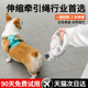 狗狗牵引绳可伸缩防爆宠物绳子猫咪兔子泰迪狗中小型幼犬遛狗神器