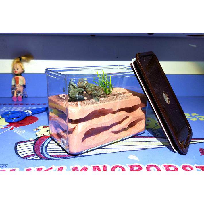 LZD-1 蚂蚁巢 石膏巢 非蚂蚁工坊