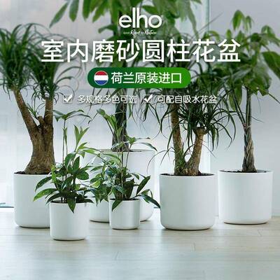 elho花盆北欧白色绿植现代塑料套盆自动自吸水盆景盆塑料盆大
