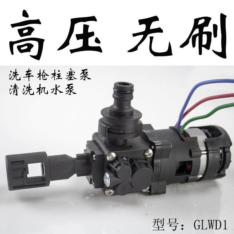 无刷电机高压洗车枪柱塞泵无线锂电洗车机水泵清洗机配件泵专用泵
