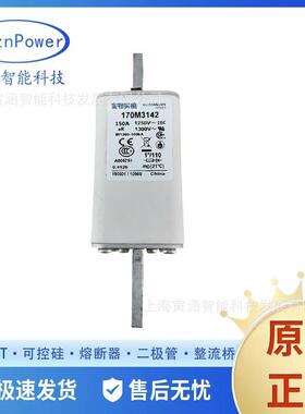 170M3140t170M3190170M瓷插式高压熔断器电路保护器原装现货