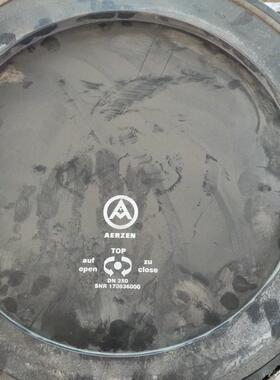 175240000罗茨风机空气滤芯175241000