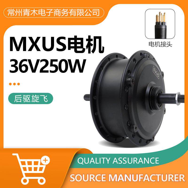 48V250Wmxus华宇电动自行车后驱旋飞改装电动助力车单电机