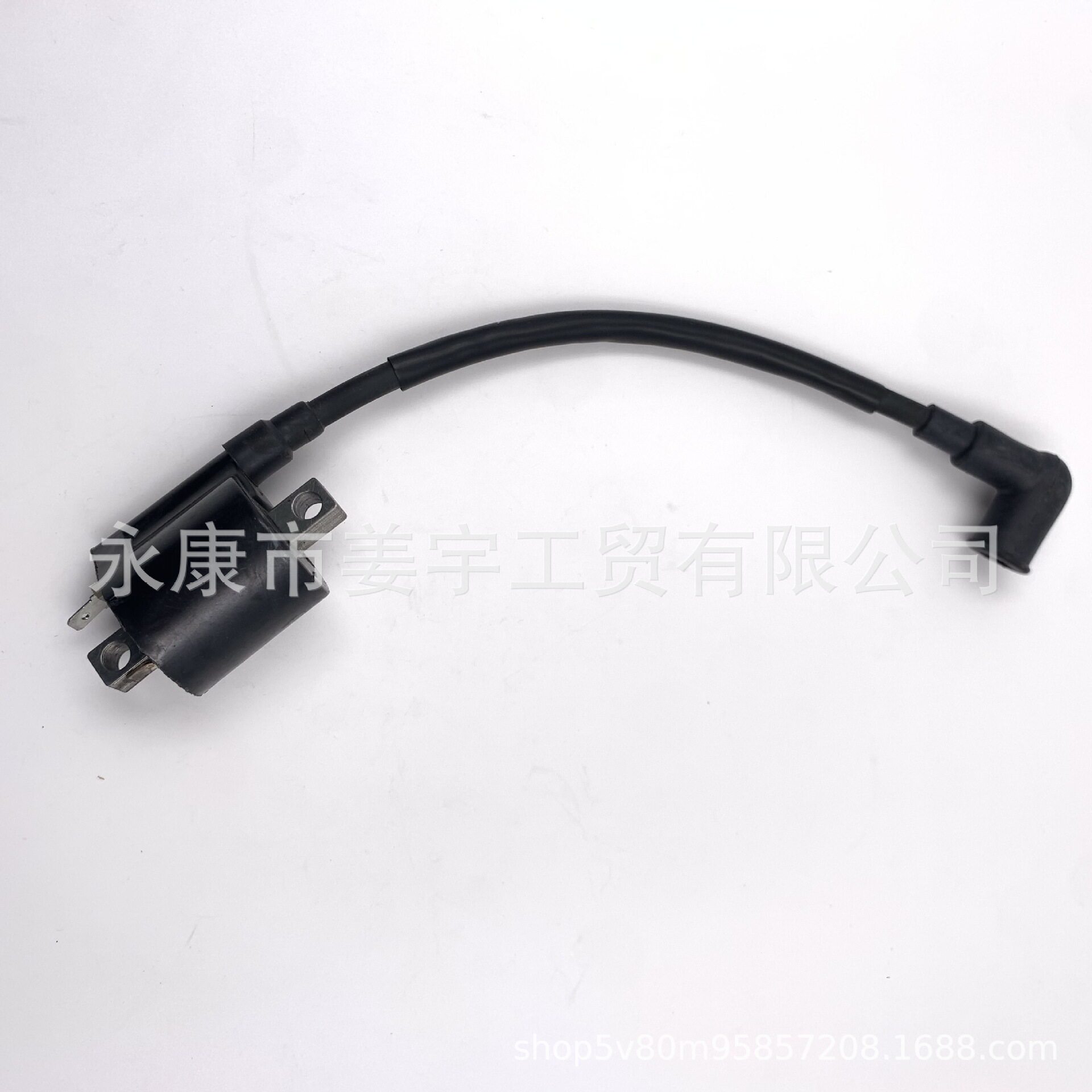 东发TOHATSU二冲程T5马力船外机挂机发动机配件高压包369-06050-1