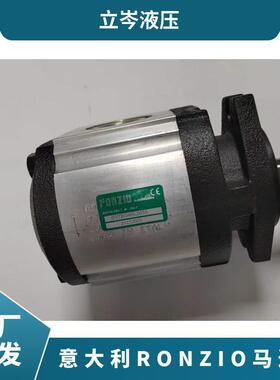 意大利RONZIO罗茨01ZA062C442AD＋01ZA0PD齿轮泵工业液压设备