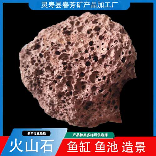 多孔火山石污水处理过滤火山石花卉植物铺面土美观大方防烂根
