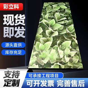 厂家直供彩涂印花卷彩钢卷彩涂卷彩高品质印花板漆清晰彩涂卷