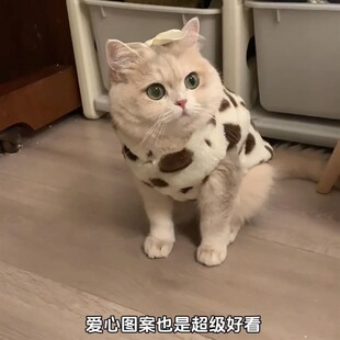 猫咪秋冬衣服保暖新款可牵引防掉毛银渐层布偶蓝猫宠物皮草马甲