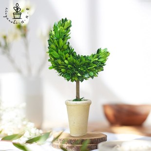 馨颜植创意手工桌面摆件家居装饰品客厅室内绿植圣诞节月亮树礼物