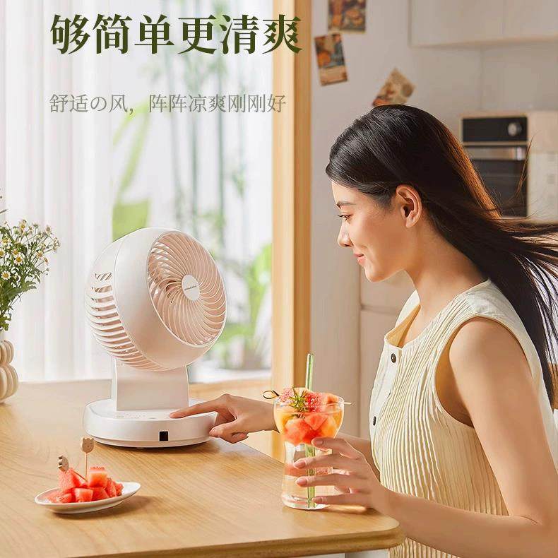 环D10日本办艾曼达360台式风扇家用电空气循扇静音小型桌面公室风