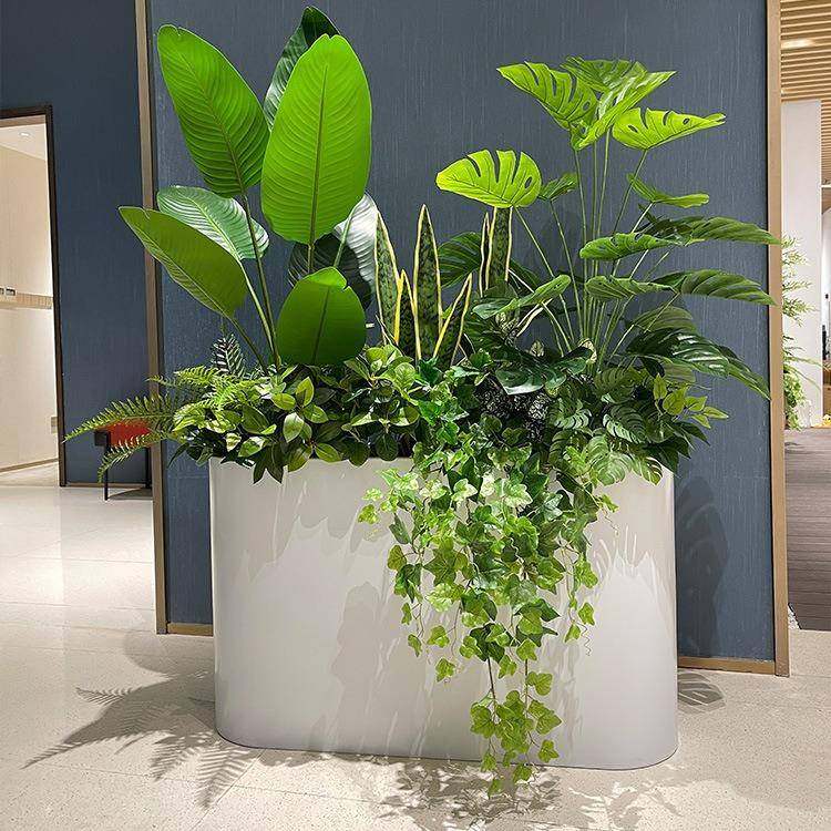 wo真龟背散尾葵南天竹绿植造景花箱搭配售楼处商场餐厅摆放