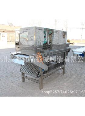 ryl2000链式大蒜脱皮机 自动不锈钢商用 电动大蒜脱皮机