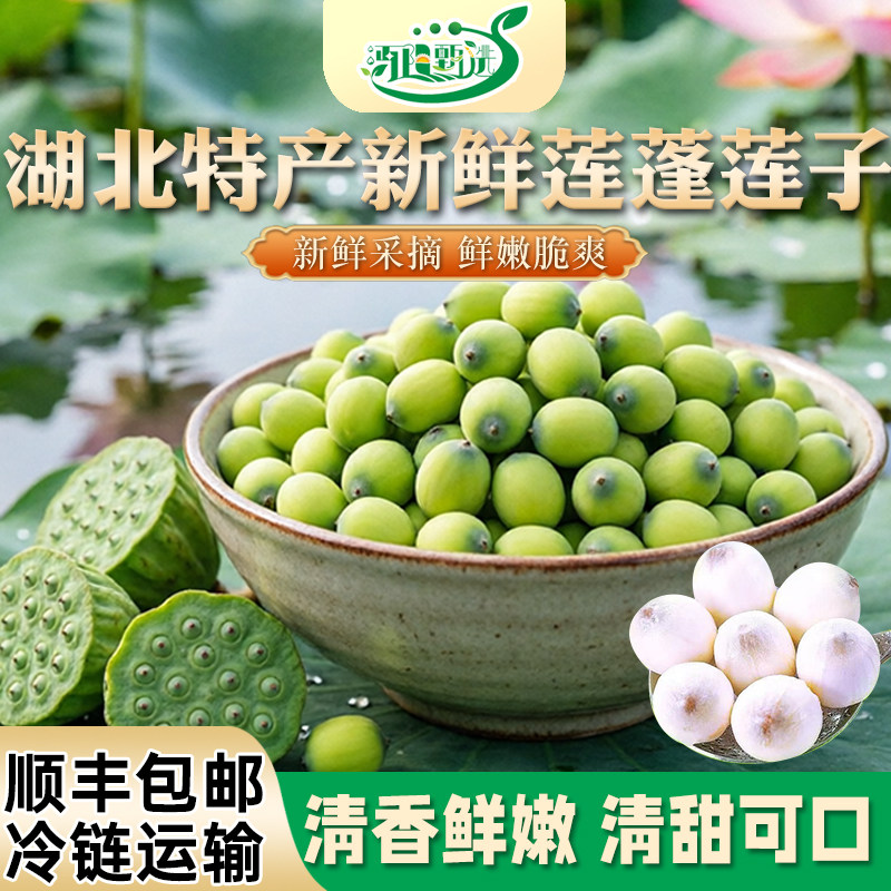 洪湖莲蓬新鲜莲蓬生吃现摘湖北特产嫩莲子米鲜嫩莲米水果莲蓬