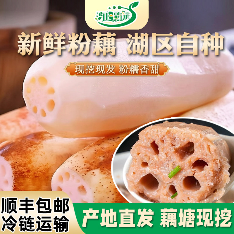 2026年当季新鲜莲藕现挖粉藕煲汤香甜湖北特产莲藕脆藕带泥发货