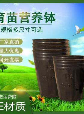 营养杯西育苗大号盆加厚袋一次性塑料农用FJ008瓜种植柑橘育苗营