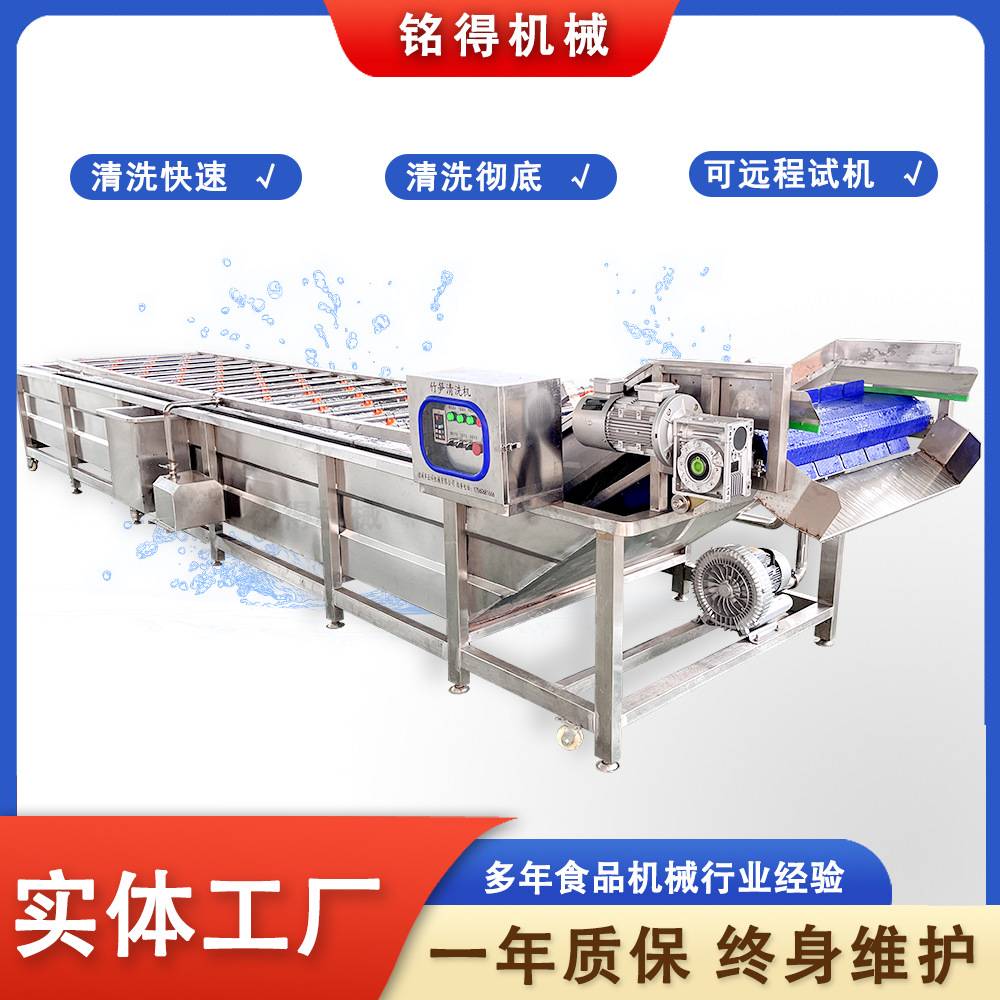 西蓝花去农残气泡清洗机 多功能竹笋清洗设备 鱼皮海参气泡清洗线