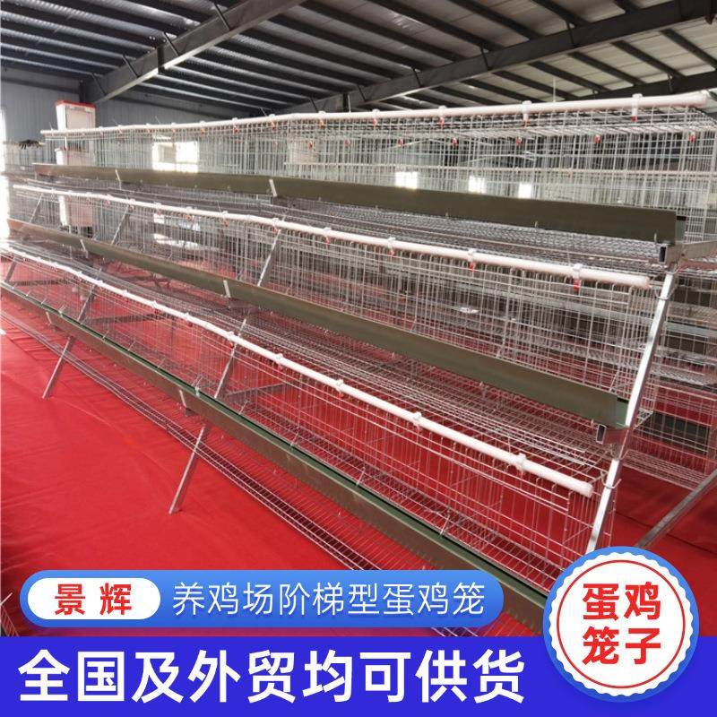 阶梯式蛋鸡笼出口全自动全套养殖多层鸡笼镀锌蛋鸡笼设备供应,农机/农具/农膜,农用防护器具,淘宝优惠券,粉丝福利购,淘宝优惠卷