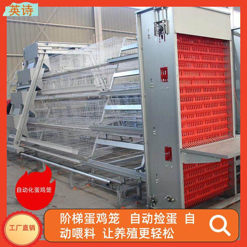 阶梯蛋鸡笼可做多层多门三层四层五层五门可配食槽支持国内外,农机/农具/农膜,农用防护器具,淘宝优惠券,粉丝福利购,淘宝优惠卷
