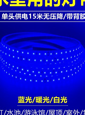 24v蓝色灯带led灯条鱼缸水池硅胶贴片防水白光户外装饰暖光水底用