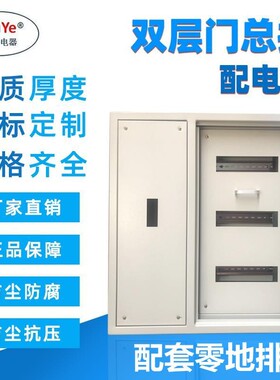 双层门总控加空开漏电配电箱 定做照明动力电气柜C45 100A总控3排