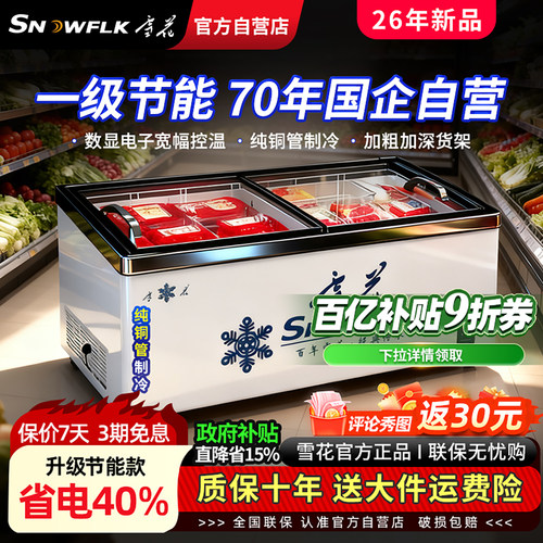 【国企自营】雪花岛柜冷冻展示柜
