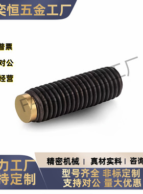 TDA11-M6M8-L10L12L16L20L25L30L40L50L60 内六角 铜头型止动螺丝