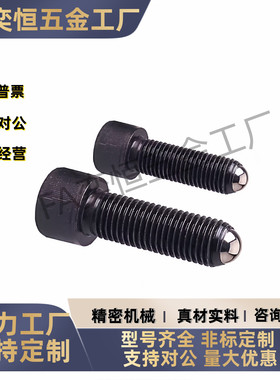 球头柱塞BPRL4/5/6/8/10/12/16-10 15 20 30 40 50 60六角螺栓型