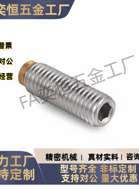 圆柱头挡块止动螺钉 SBCPS8 10 12-10 12 16 20 25 30 40 50 现货