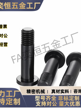 轴承止动销BKT31/32/36内六角带肩型铰链销304/45钢粗牙发黑镀镍