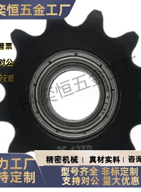 惰轮/链轮VLS01-25 35 40 50 60 80-16 18 17 19 20-d6/8/10/12