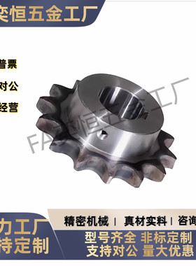 链轮条VLD02-35 VLF02-40 VLY11-08B VLG02-50 VLK02-60