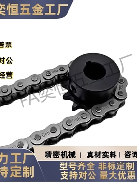 链轮链条VLF02-40-16 -D14 15 16 17 18 19 20 22 24 25 28 30 32