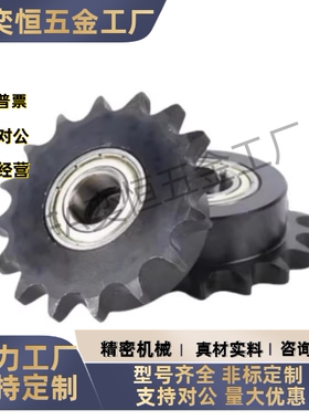 链轮惰轮DRCBW35 40 50 60-10 11 12 13 14 15 16 17 18 19 20