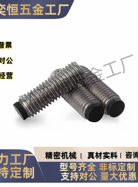 圆柱头挡块止动螺钉TDA21-M3M4M5-L5L6L8L10L12L16L20L25六角孔型