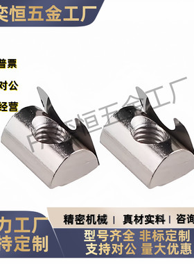 铝型材弹片螺母 欧标国标AHL21-22-308/4010/G408/M5/M6/M8定位块