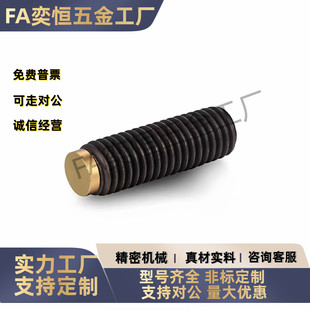 M12 M10 L80 L100 工厂直发 现货 内六角铜头型止动螺丝 TDA11