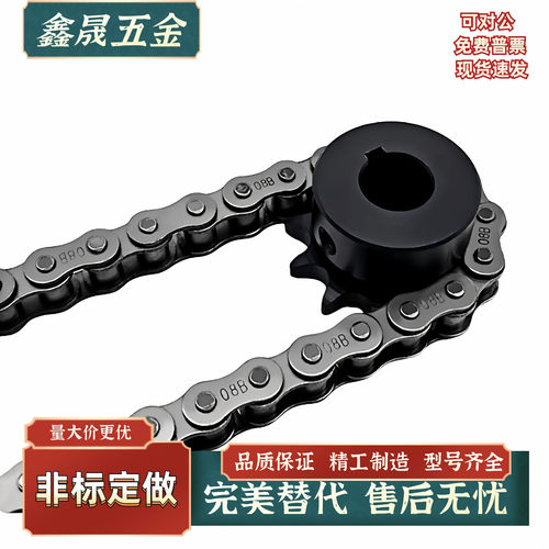 SP40B BSP40B SSP40B9 10 11 12 13 14 15-17-18-N/S  链轮