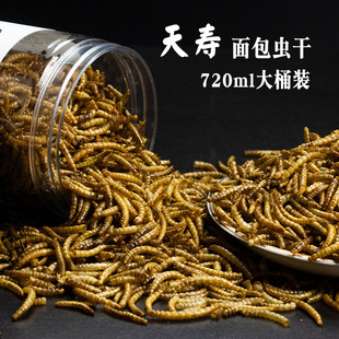 天寿八哥鸟食面包虫干罐装 鸟吃营养零食黄粉虫干仓鼠乌龟画眉鹩哥