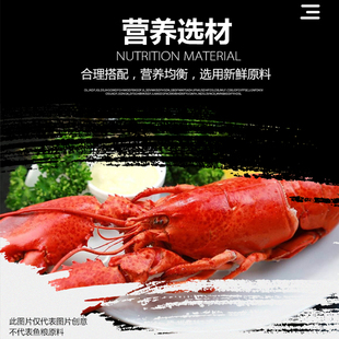 苏皖异型鱼饲料清道夫沉底形鱼食招财猫鼠鱼底栖鱼下沉蓝鲨虎头鲨