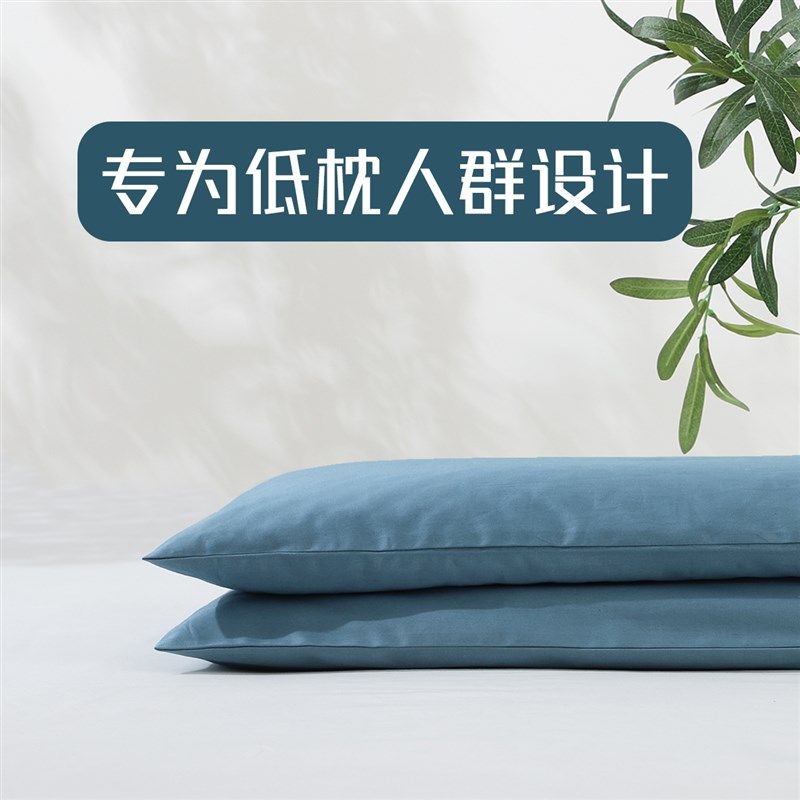全决明子低枕护颈椎男成人儿童家用平枕助睡眠硬枕头枕芯超矮薄枕