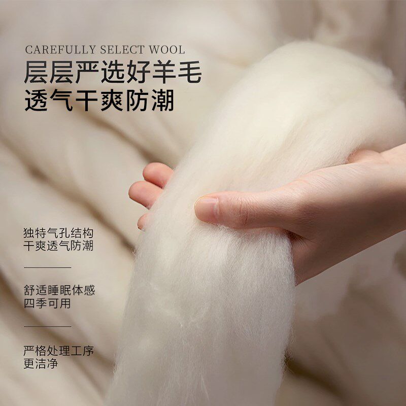 羊毛防潮床垫软垫家用卧室防滑可折叠床褥垫垫被褥子单人被褥铺底