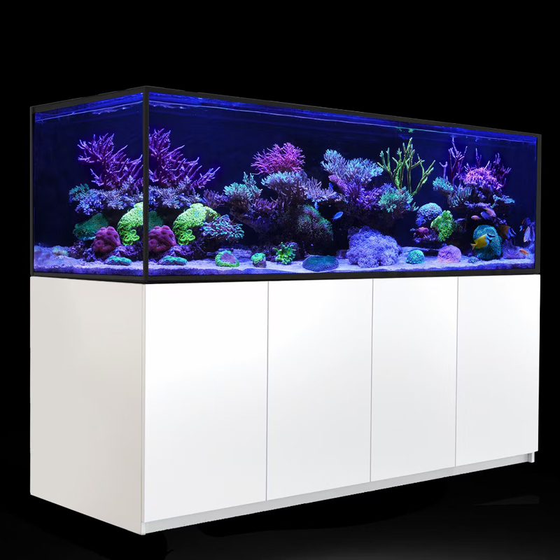 定制超白海水缸海水珊瑚鱼缸全套设备海缸背滤缸客厅实木底滤海缸