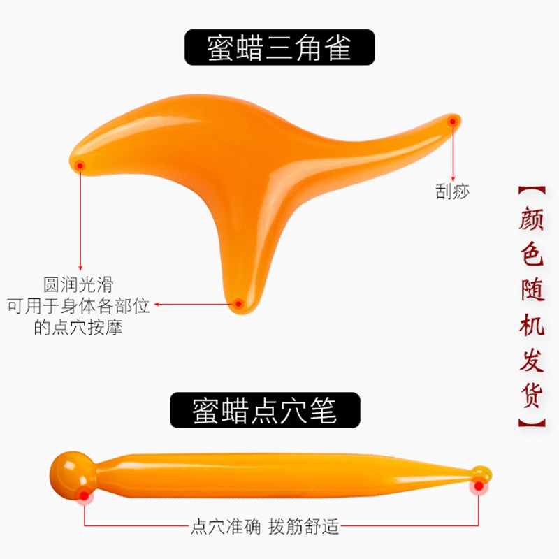 大号足底按摩穴位人体模型脚底反射区足疗店教学推拿点穴棒按摩锥