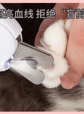 猫咪剪指甲钳神器兔子狗狗指甲剪刀带灯照血线电动打磨甲宠物用品