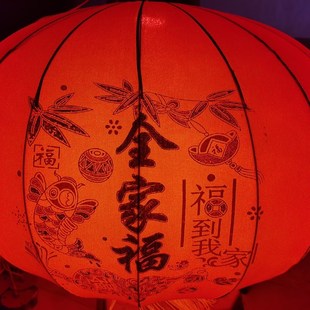 灯笼伴侣专用2022新款带线彩灯红色led灯户外阳台新年国庆节高亮